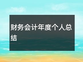 財(cái)務(wù)會(huì)計(jì)年度個(gè)人總結(jié)
