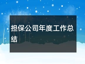 擔保公司年度工作總結(jié)