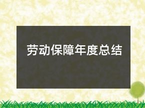 勞動(dòng)保障年度總結(jié)