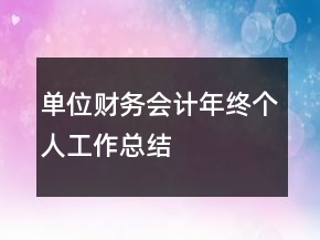 單位財務會計年終個人工作總結