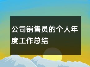 公司銷售員的個(gè)人年度工作總結(jié)