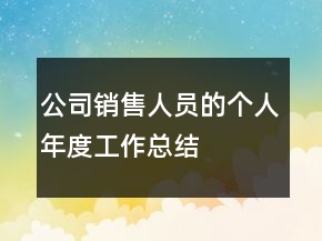 公司銷售人員的個(gè)人年度工作總結(jié)
