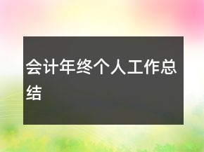會計年終個人工作總結(jié)