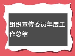 組織宣傳委員年度工作總結(jié)
