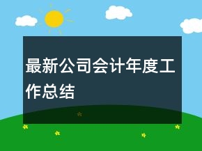 最新公司會(huì)計(jì)年度工作總結(jié)