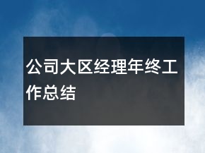 公司大區(qū)經(jīng)理年終工作總結(jié)