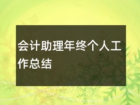 會計助理年終個人工作總結