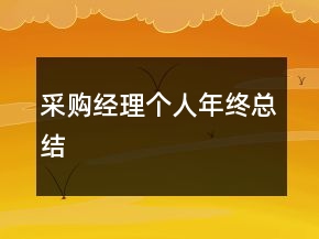 采購(gòu)經(jīng)理個(gè)人年終總結(jié)
