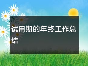 試用期的年終工作總結(jié)