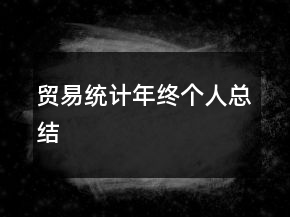 貿(mào)易統(tǒng)計(jì)年終個(gè)人總結(jié)