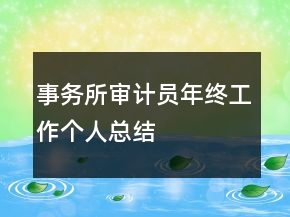 事務(wù)所審計(jì)員年終工作個(gè)人總結(jié)