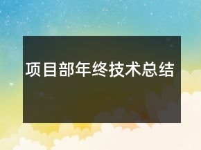 項(xiàng)目部年終技術(shù)總結(jié)