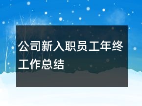 公司新入職員工年終工作總結