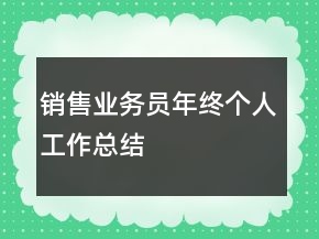 銷售業(yè)務(wù)員年終個人工作總結(jié)
