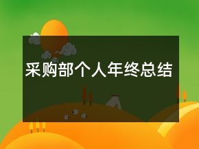 采購部個人年終總結
