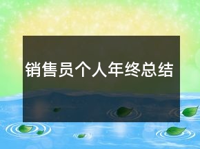 銷售員個人年終總結