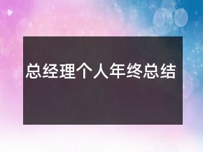 總經(jīng)理個人年終總結(jié)