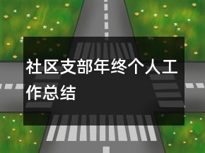 社區(qū)支部年終個人工作總結(jié)