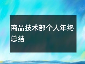 商品技術(shù)部個(gè)人年終總結(jié)