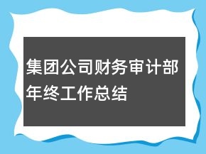 集團(tuán)公司財務(wù)審計部年終工作總結(jié)