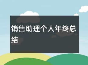 銷售助理個(gè)人年終總結(jié)