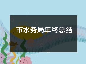 市水務(wù)局年終總結(jié)