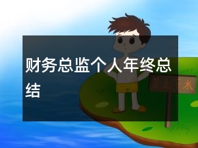 財務(wù)總監(jiān)個人年終總結(jié)