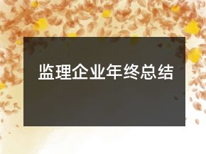 監(jiān)理企業(yè)年終總結(jié)