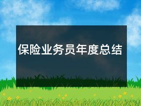 保險業(yè)務(wù)員年度總結(jié)
