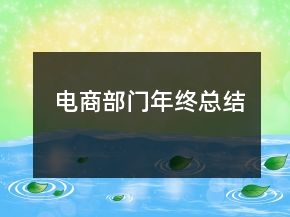 電商部門年終總結(jié)