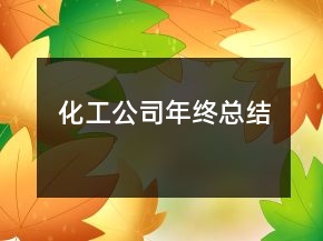 化工公司年終總結(jié)