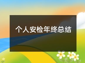 個人安檢年終總結(jié)