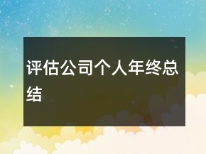 評估公司個人年終總結