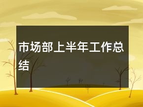 市場(chǎng)部上半年工作總結(jié)
