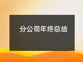 分公司年終總結