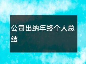 公司出納年終個(gè)人總結(jié)