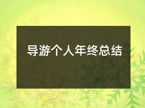 導(dǎo)游個(gè)人年終總結(jié)