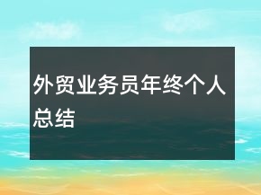 外貿(mào)業(yè)務(wù)員年終個(gè)人總結(jié)