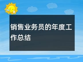 銷售業(yè)務(wù)員的年度工作總結(jié)