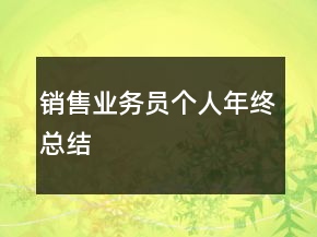 銷售業(yè)務(wù)員個人年終總結(jié)
