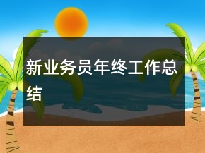 新業(yè)務(wù)員年終工作總結(jié)