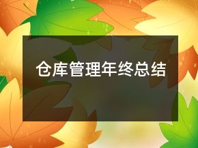 倉庫管理年終總結(jié)