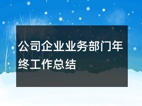 公司企業(yè)業(yè)務(wù)部門(mén)年終工作總結(jié)