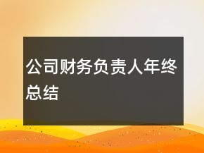 公司財(cái)務(wù)負(fù)責(zé)人年終總結(jié)