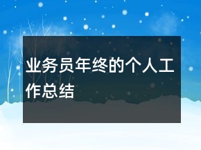 業(yè)務(wù)員年終的個人工作總結(jié)