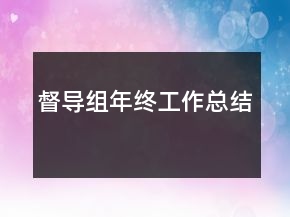 督導組年終工作總結(jié)