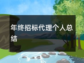 年終招標(biāo)代理個(gè)人總結(jié)