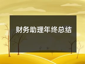 財(cái)務(wù)助理年終總結(jié)