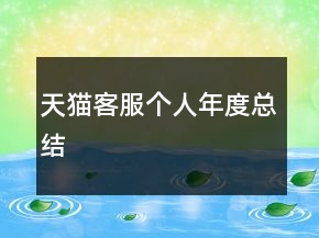 天貓客服個(gè)人年度總結(jié)
