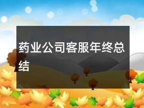 藥業(yè)公司客服年終總結(jié)